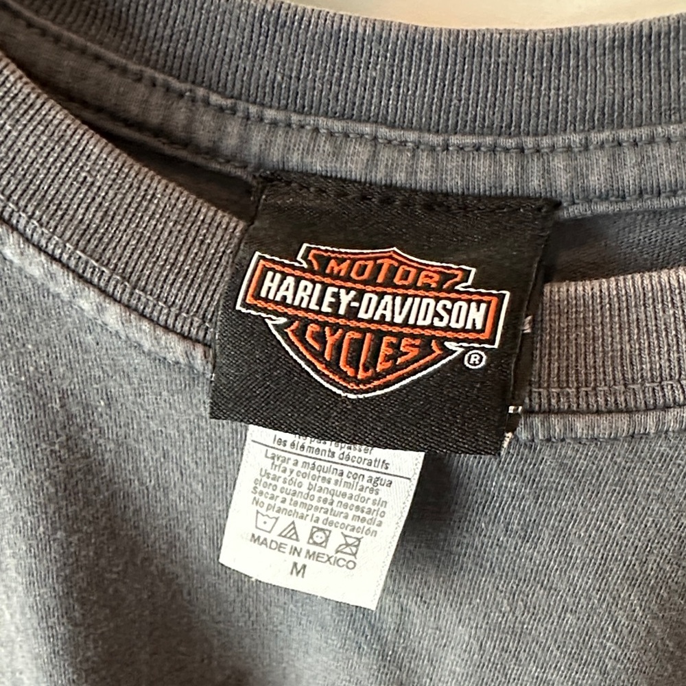 Harley-Davidson Charcoal Graphic Tee - Picture 3 of 3